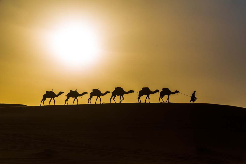 5 días de viaje de Casablanca a Fez vía el desierto