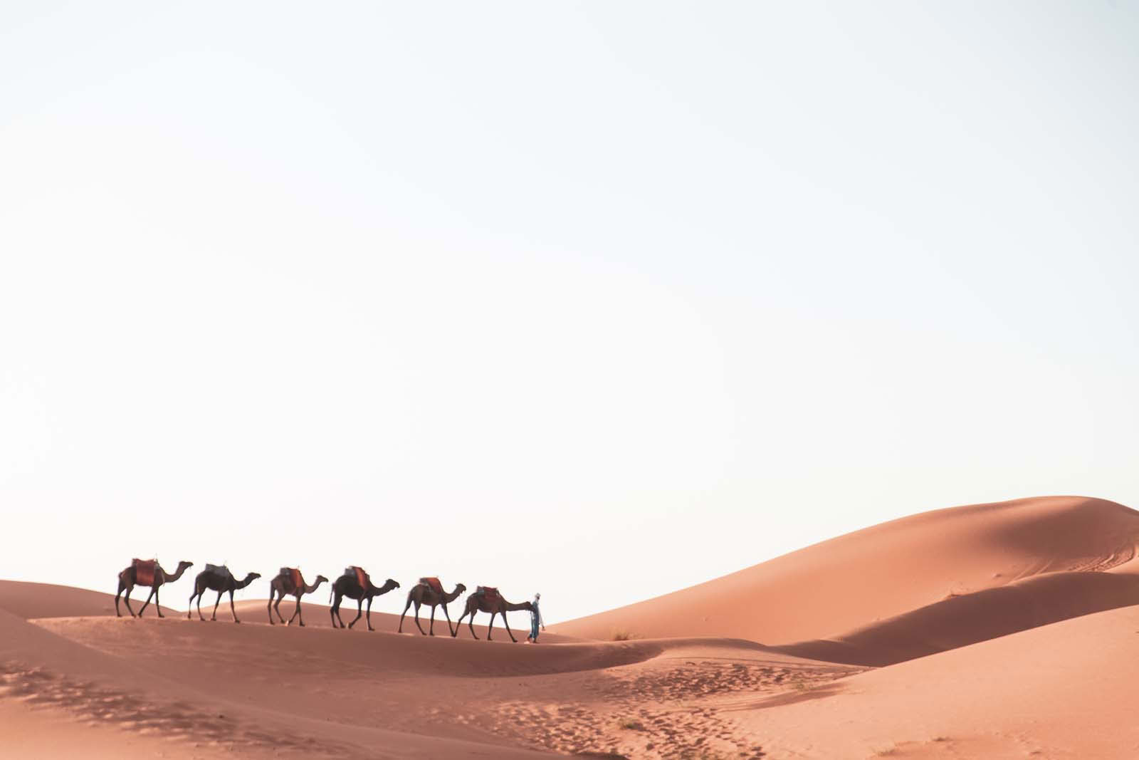 8 días desde Agadir hasta el desierto del Sahara y Marrakech