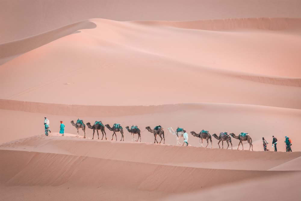 9 días de tour desde Marrakesh al desierto y Casablanca