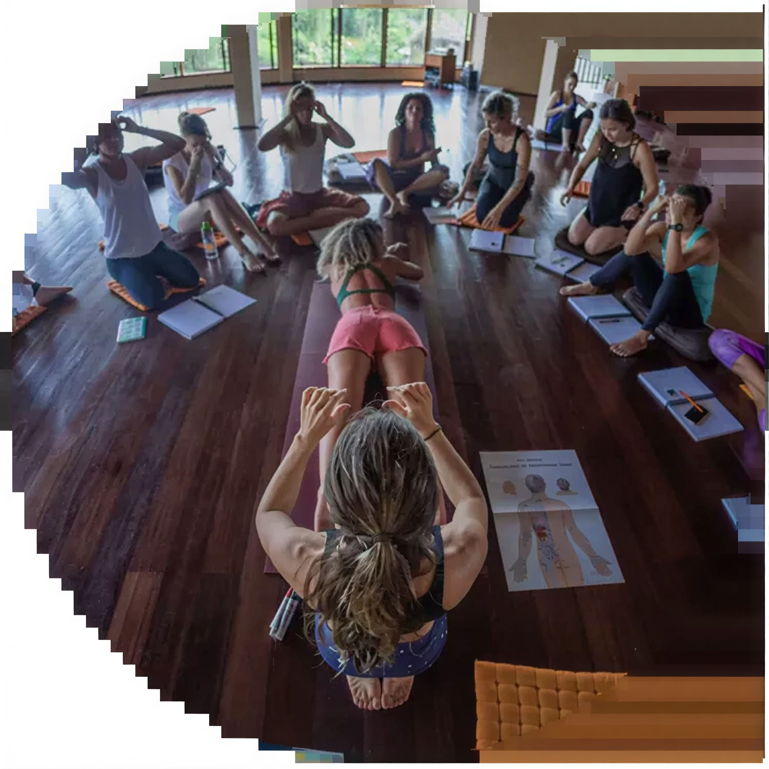 Entrenamiento de Profesor de Yoga de 50 horas