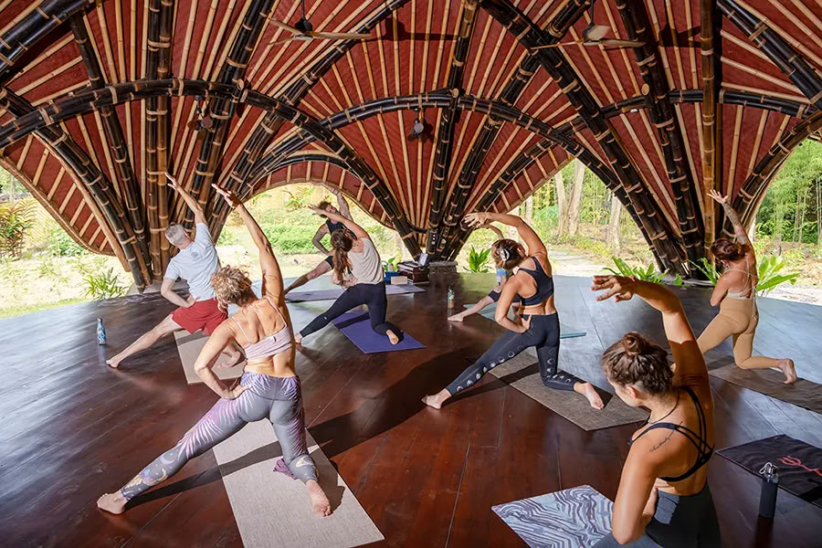 Vaidika Dharma: Formación de Profesores de Yoga SPIRIT de 100 Horas