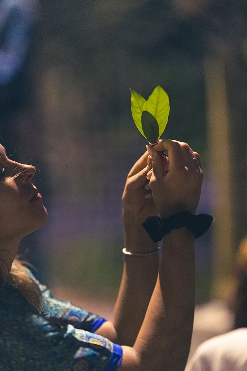 Vaidika Dharma: Formación de Profesores de Yoga SPIRIT de 100 Horas