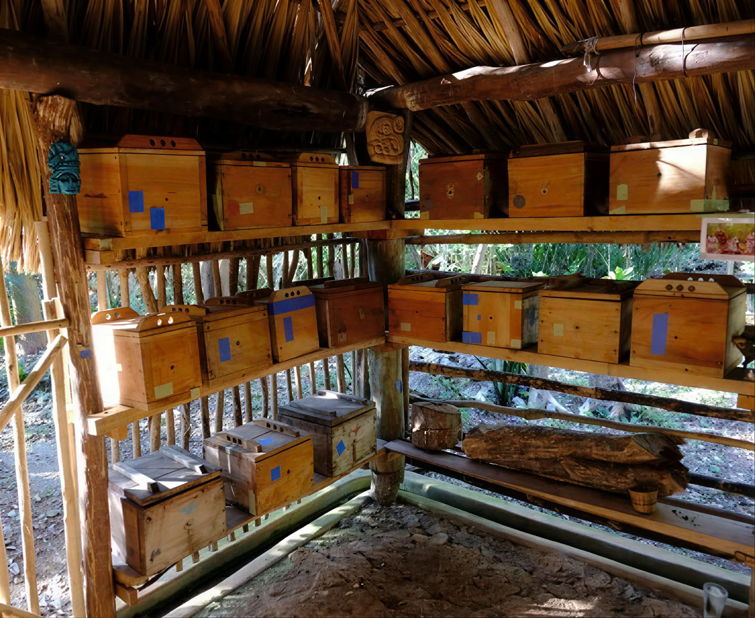 Coba y Encuentro con un Sanador Maya