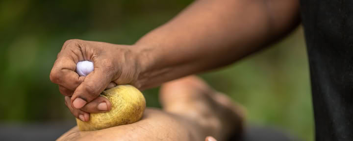 Curso de 10 días: Entrénate para ser Terapeuta de Ayurveda, Sri Lanka