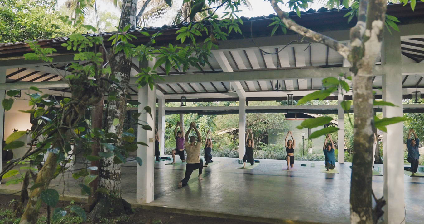 Formación de Profesores de Yoga