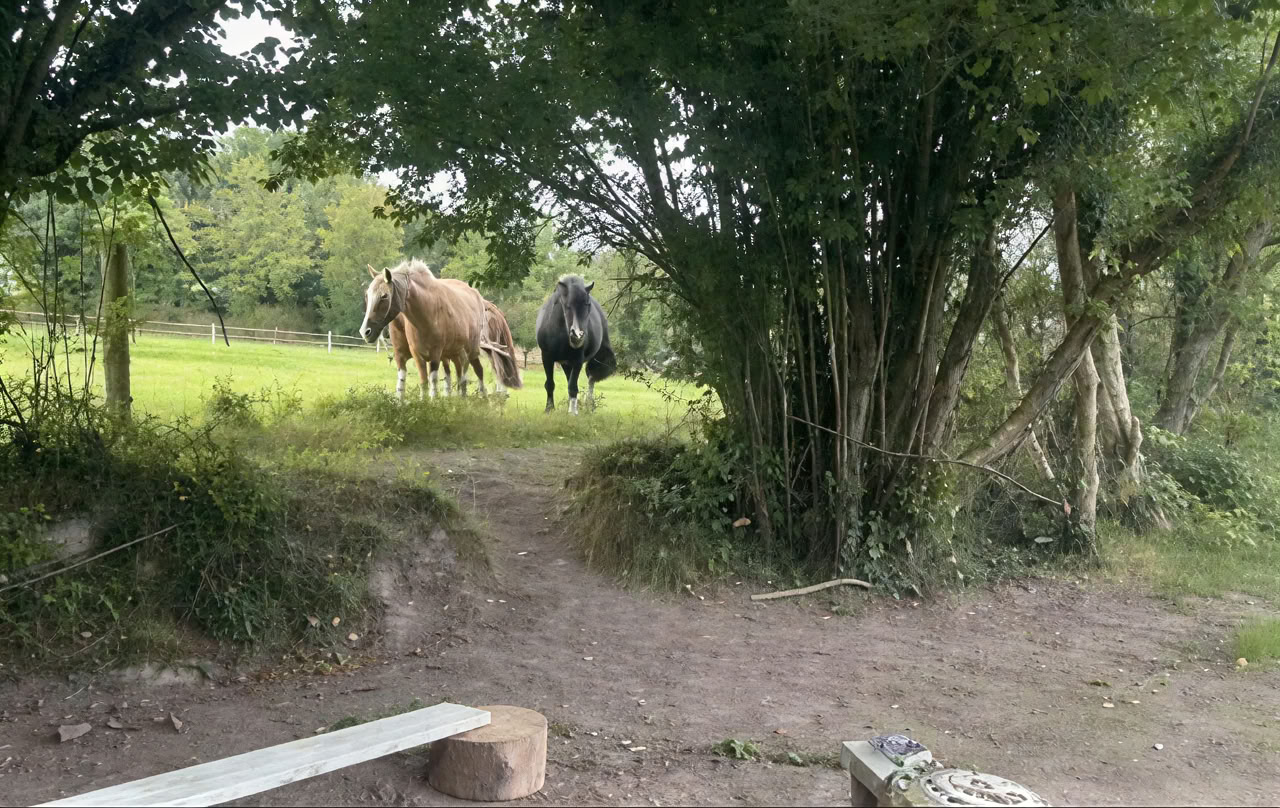 Connect with Heart Retiro with the Horses