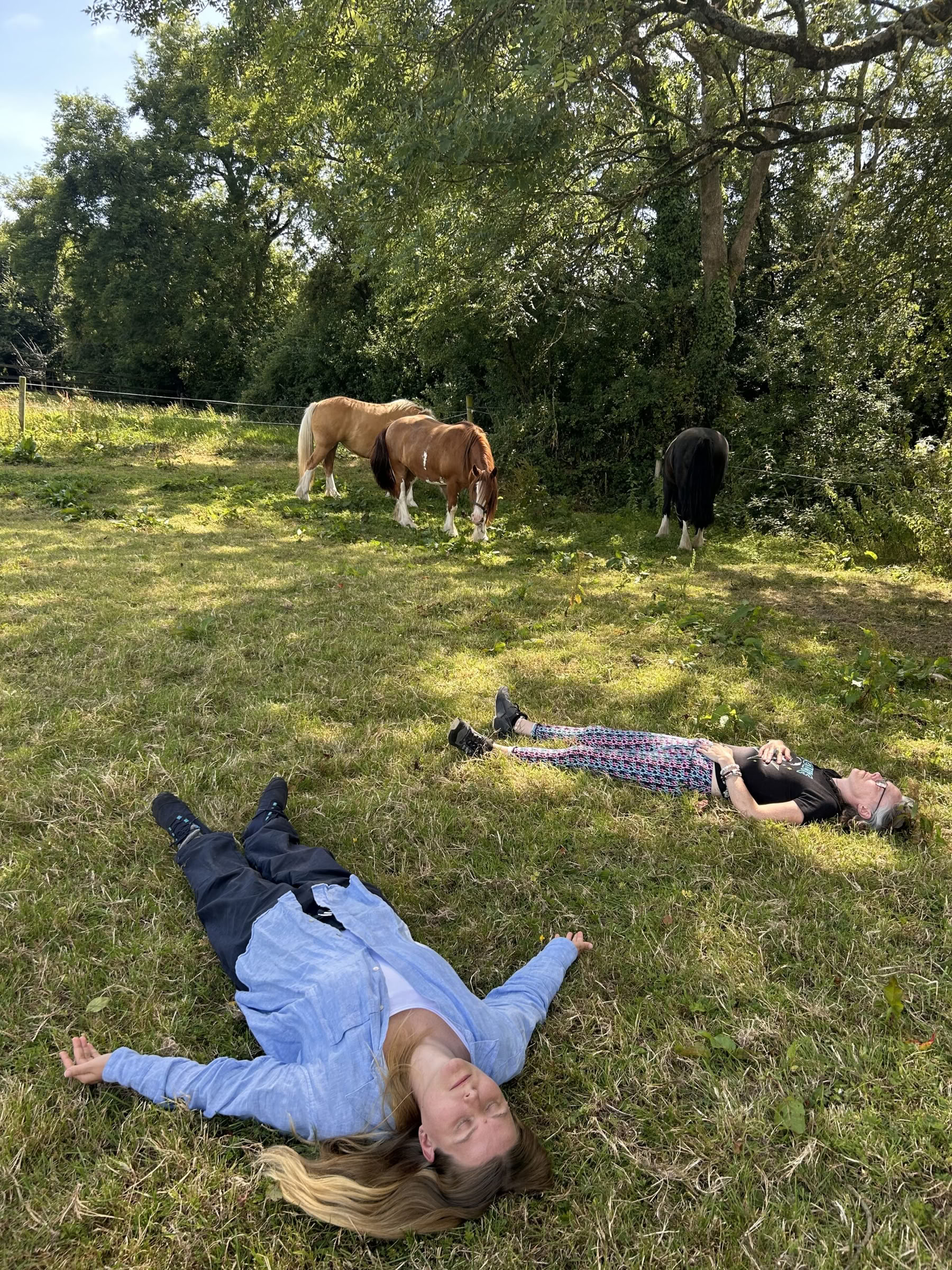 Connect with Heart Retiro with the Horses