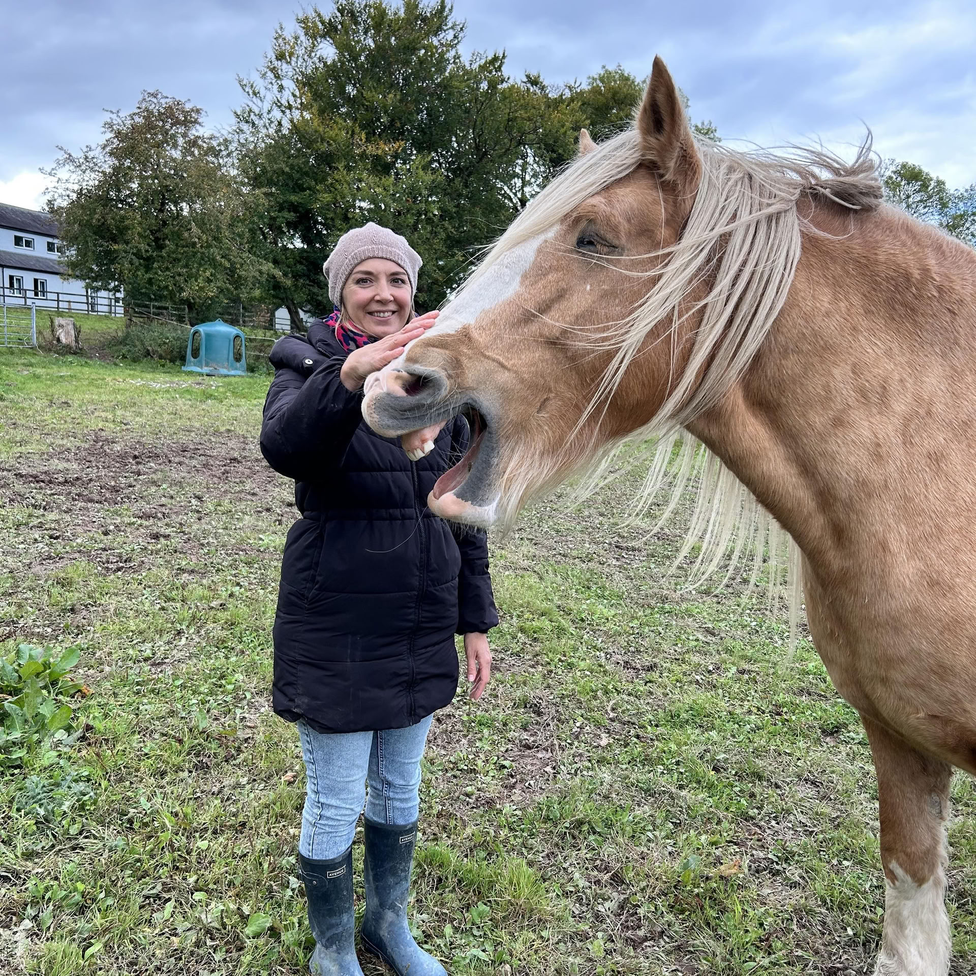 Adentrándose en la asociación con los caballos