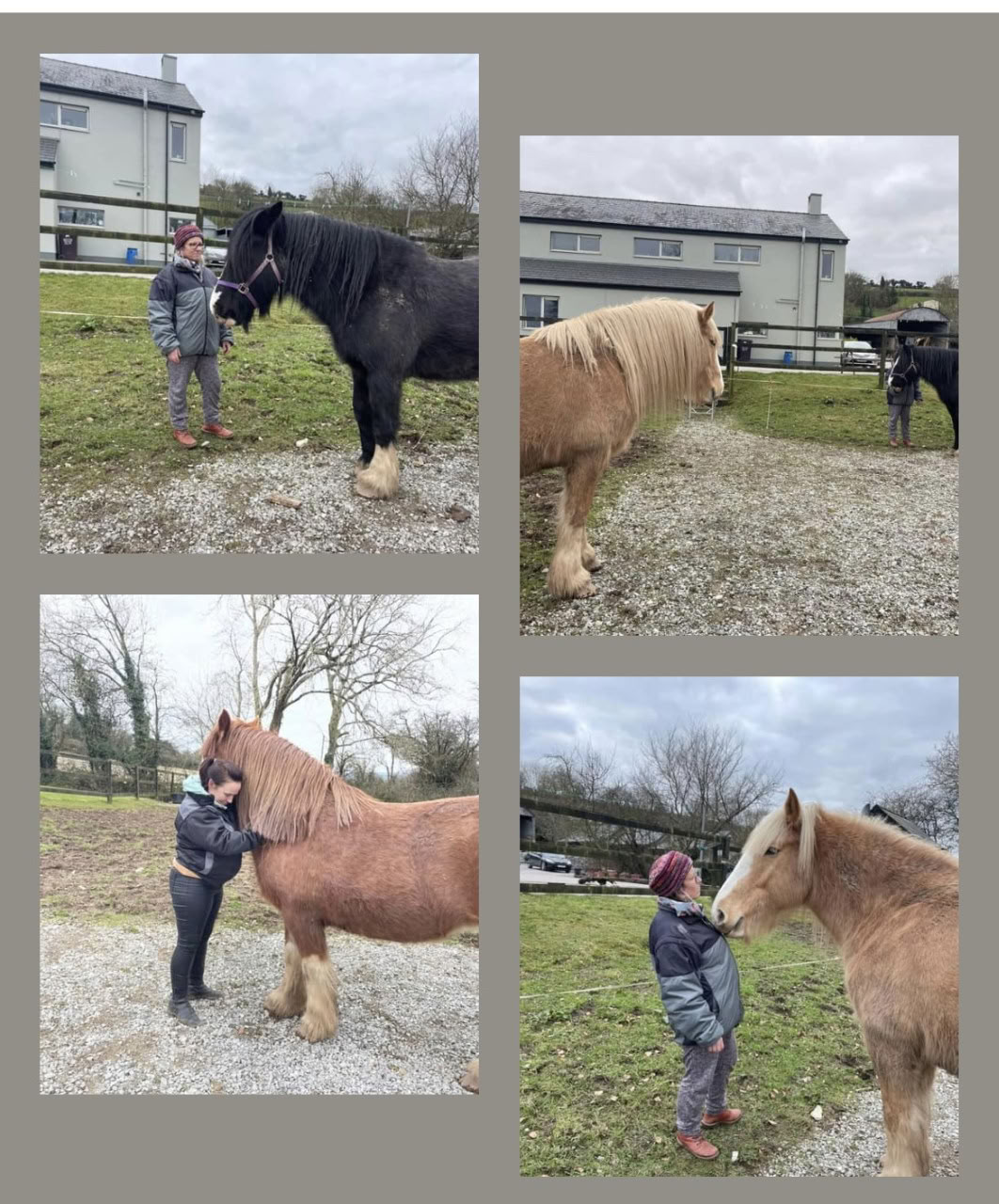 Adentrándose en la asociación con los caballos