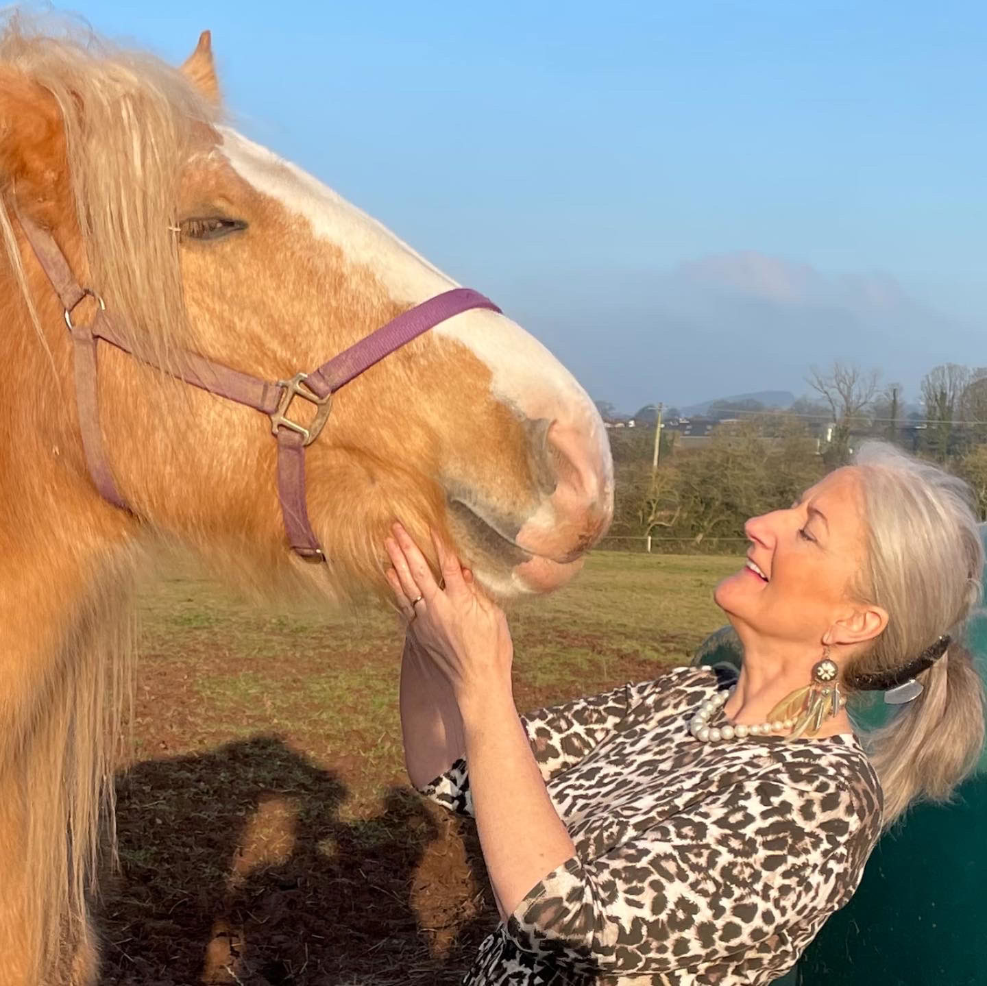 Adentrándose en la asociación con los caballos