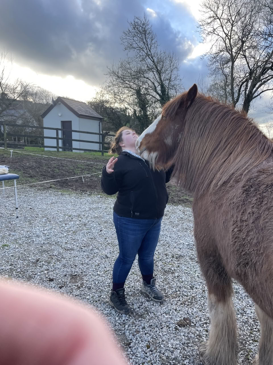 Enseñanza de Reiki Animal
