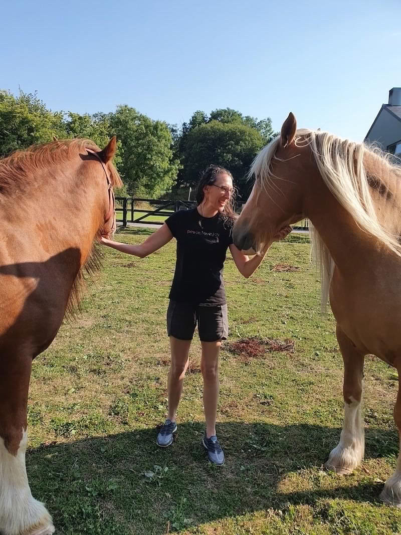Enseñanza de Reiki Animal