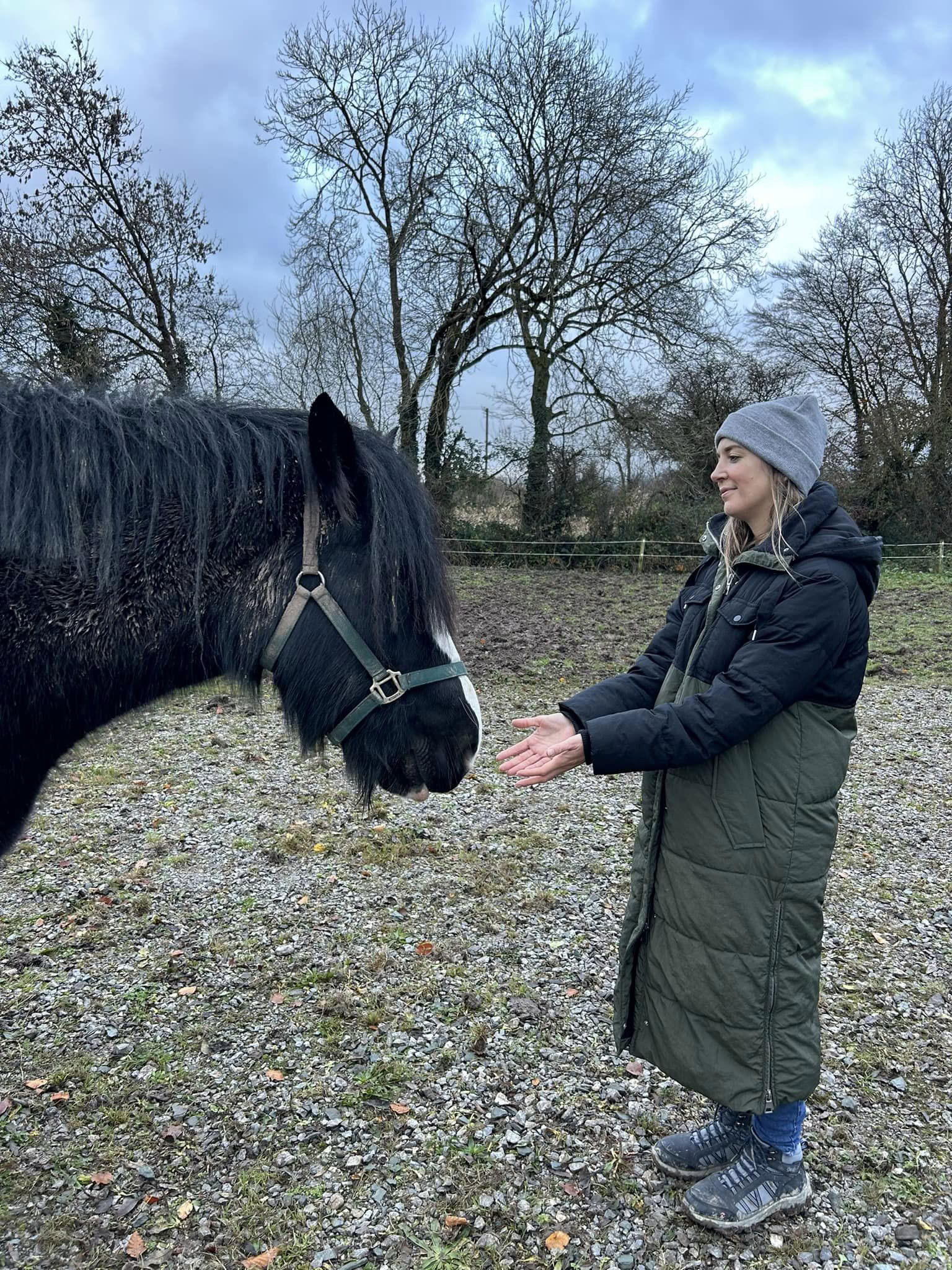Enseñanza de Reiki Animal