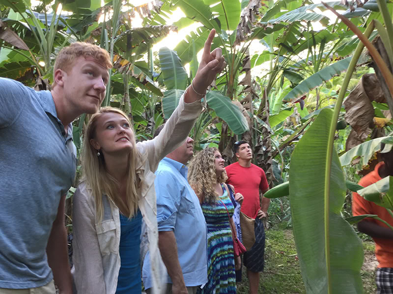 Zimbali's Cooking Show de la granja a la mesa