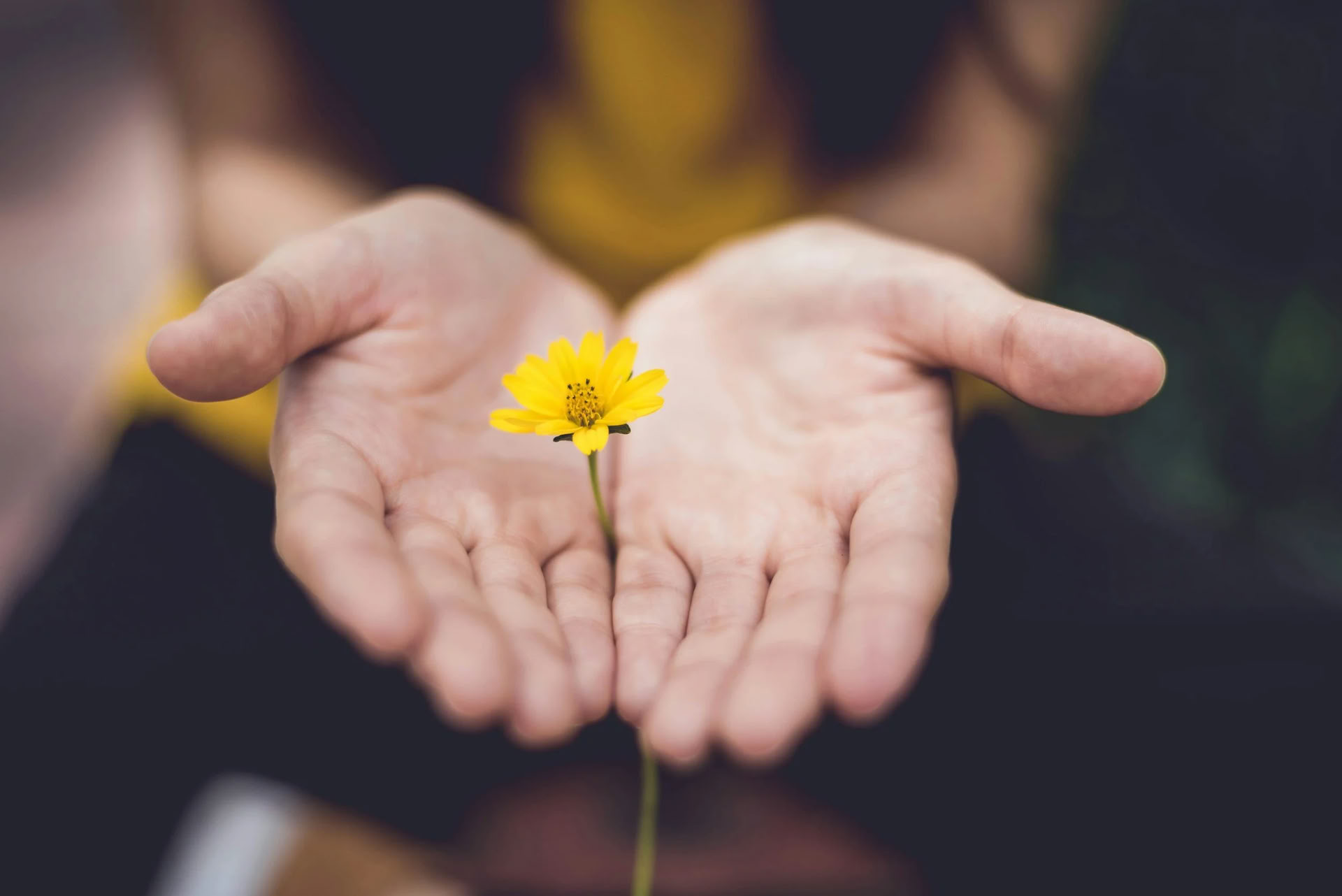 Harmoniza Tu Vida: Un Retiro