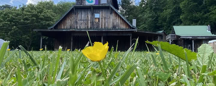 Retiro Taller de 3 Días de Sanación Sonora para Mujeres Aprende a Descansar cerca de Asheville, NC