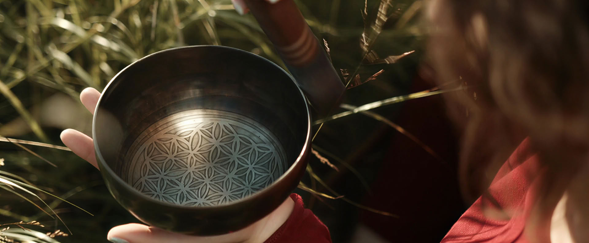 Sound and Light with Fireflies