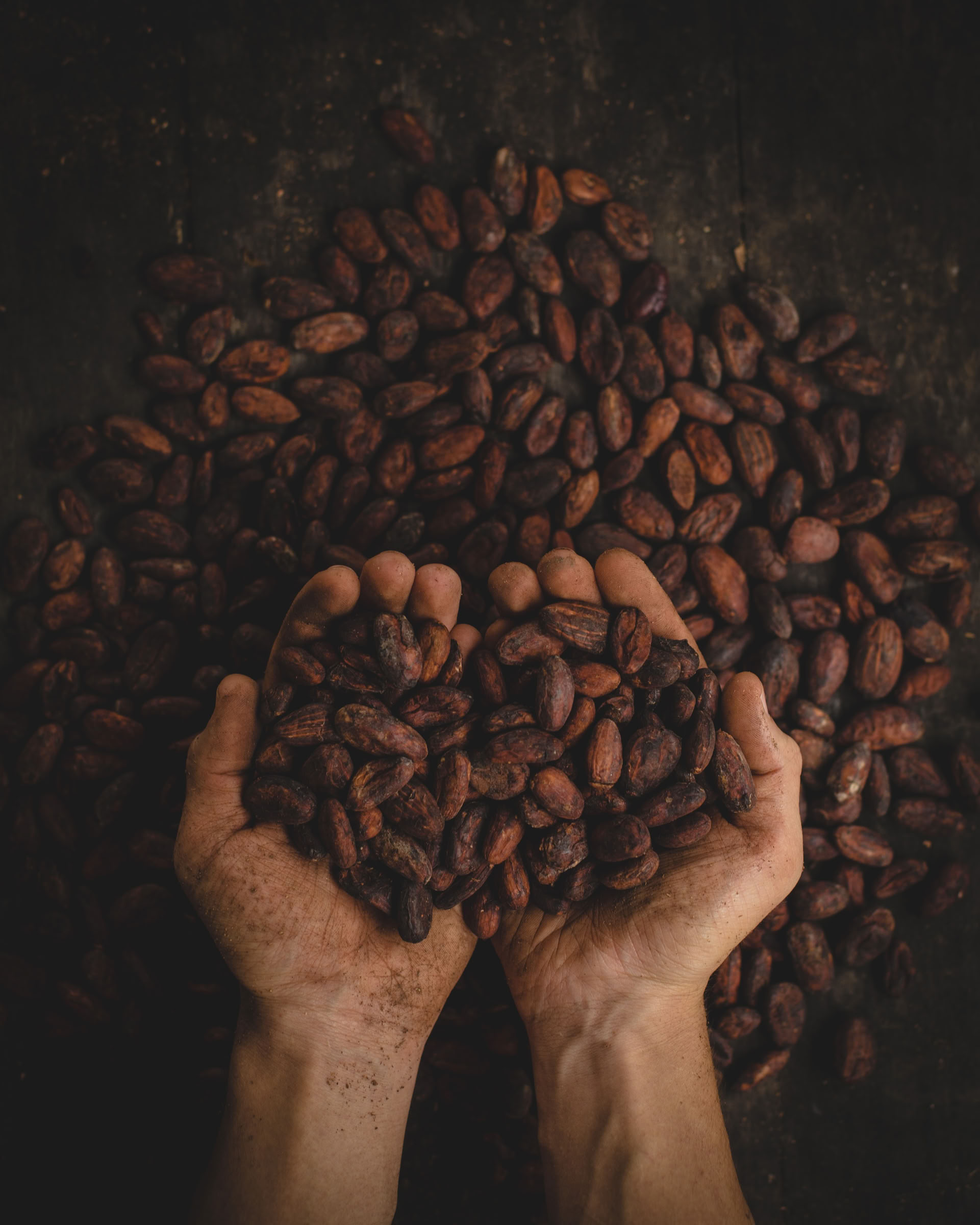 3 Day Opening the Heart: Un Retiro de Sonido y Naturaleza para Mujeres, Asheville, NC