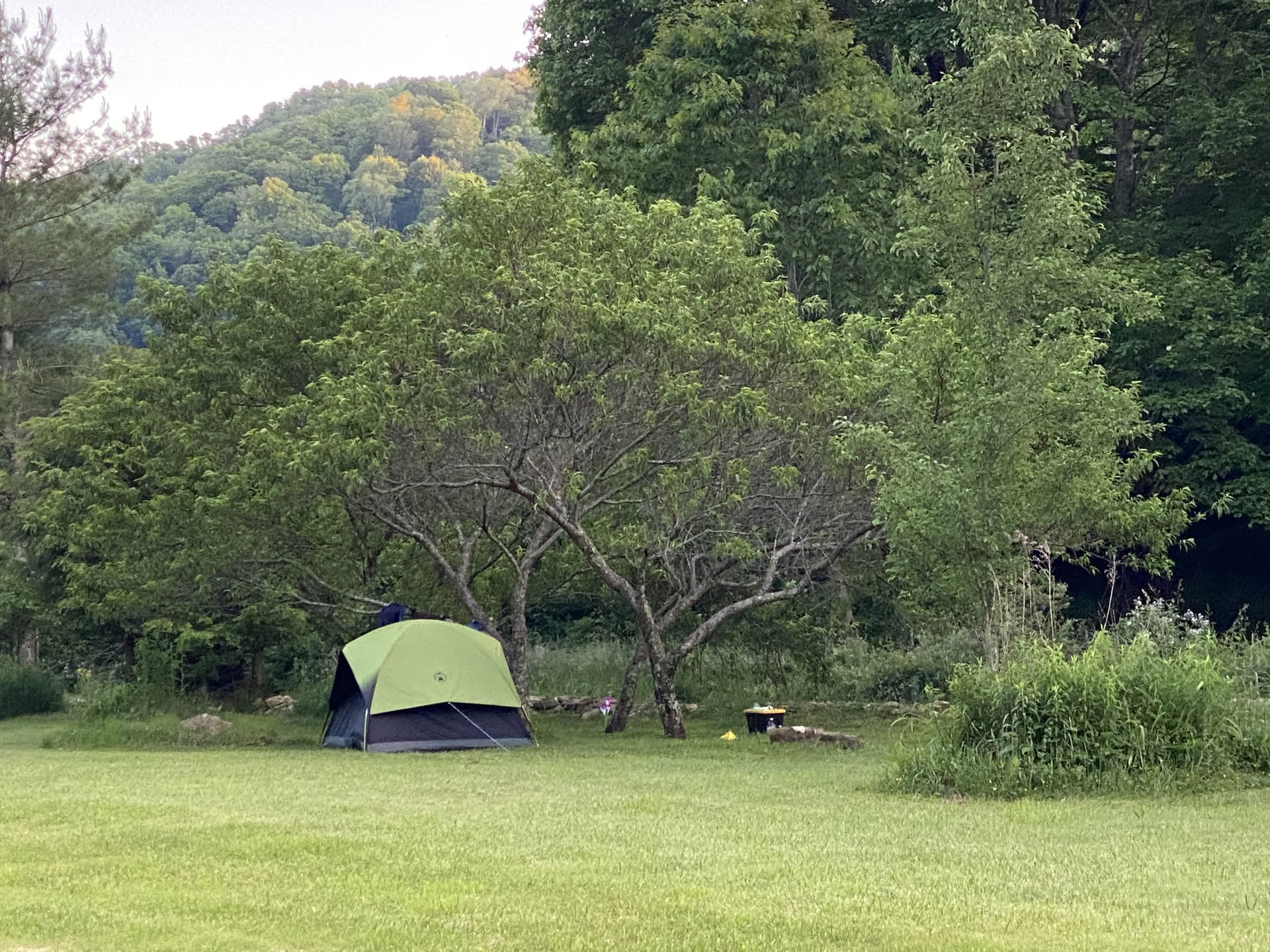 3 Day Opening the Heart: Un Retiro de Sonido y Naturaleza para Mujeres, Asheville, NC
