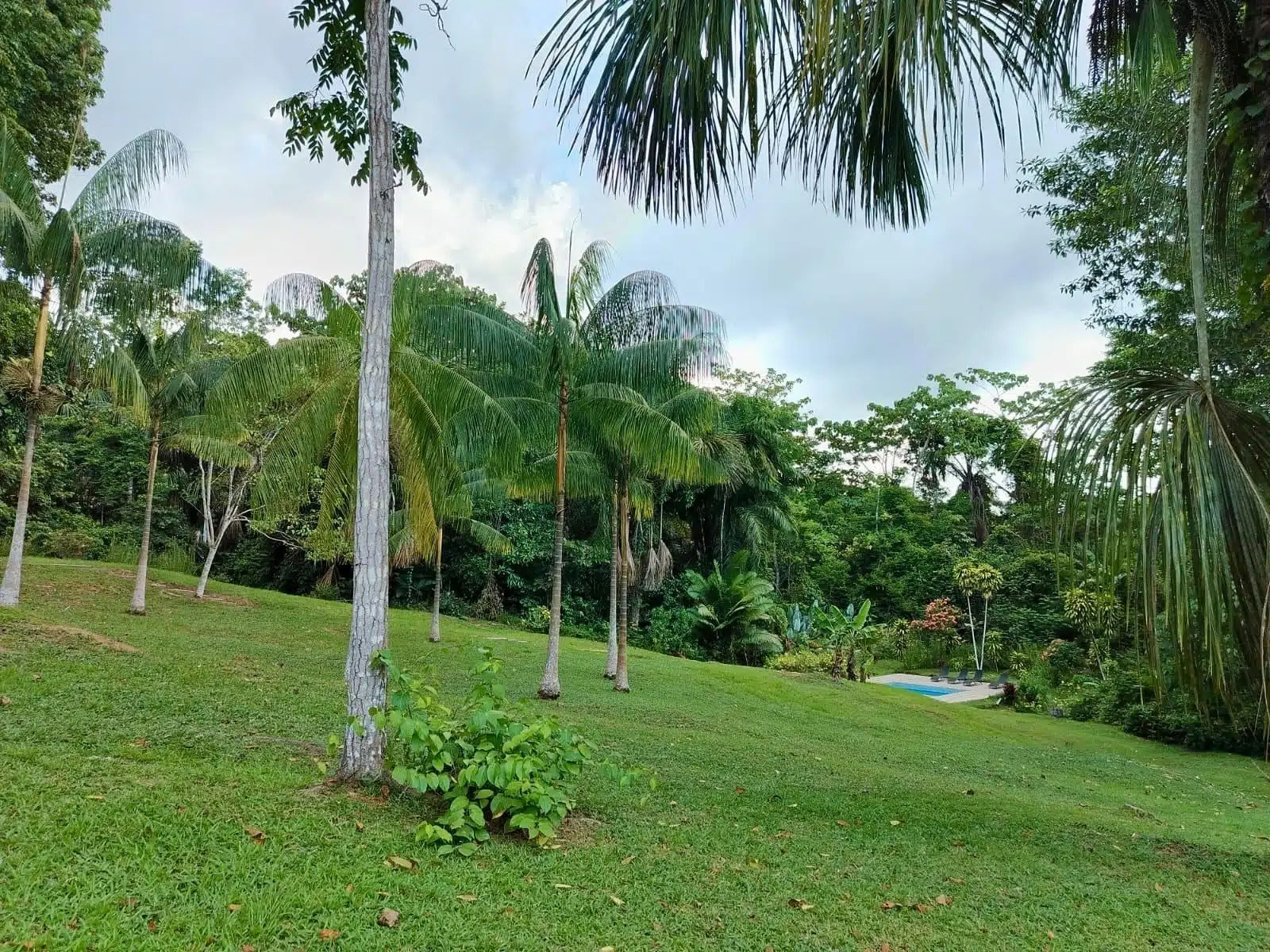 5 días de retiro de ayahuasca y san pedro