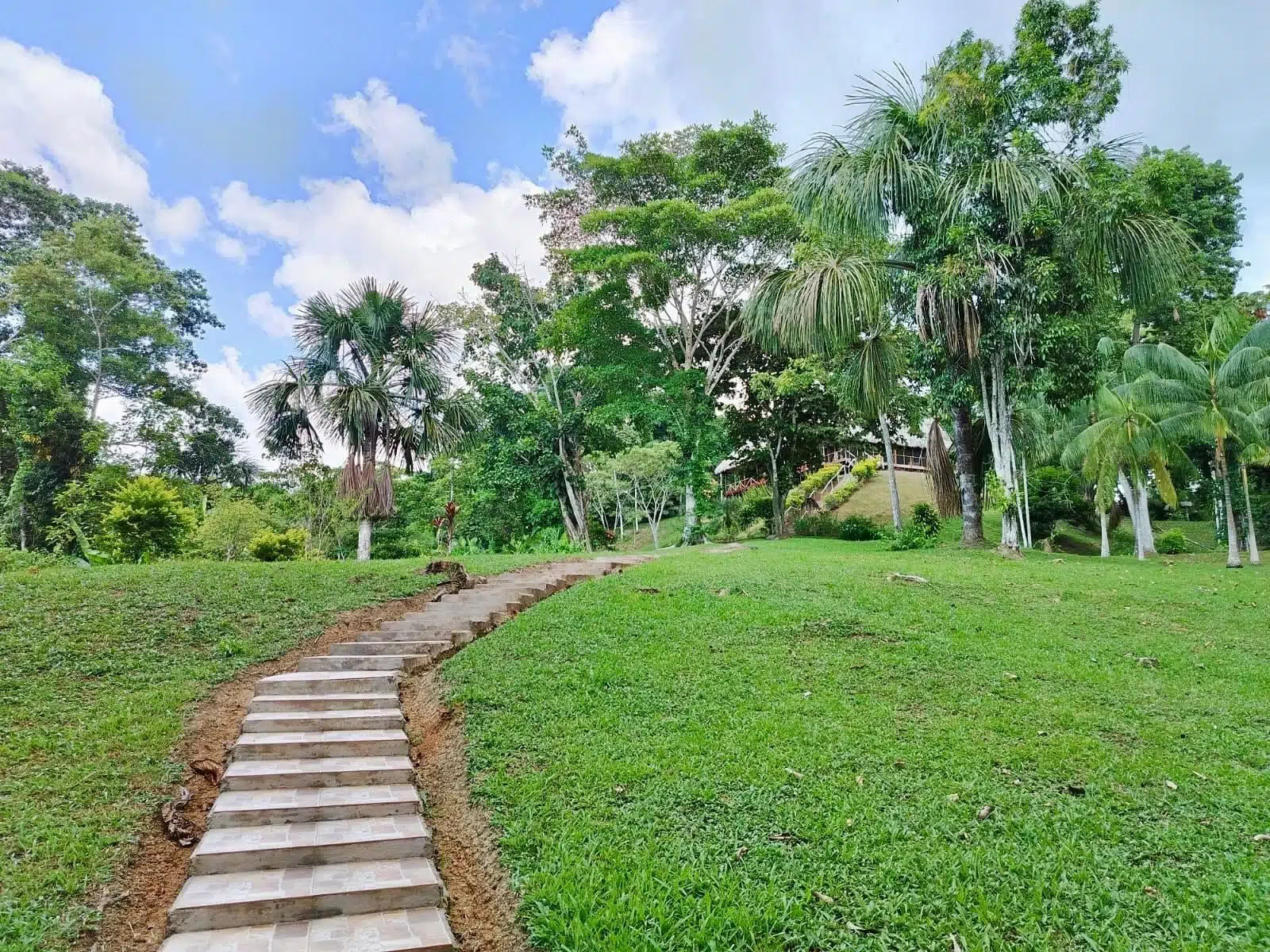 5 días de retiro de ayahuasca y san pedro