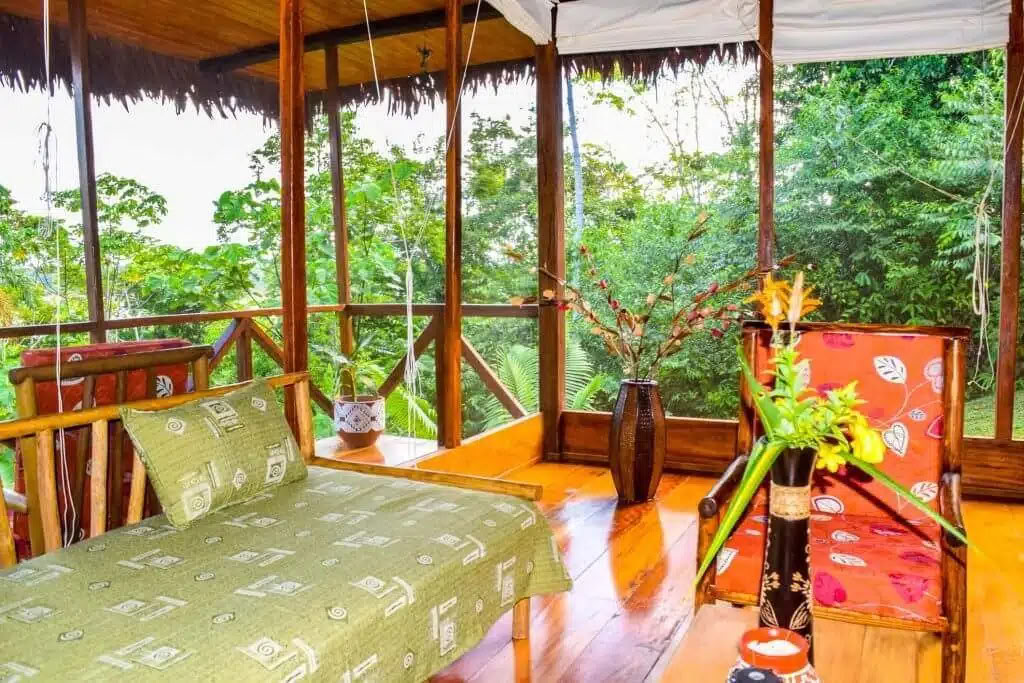 5 días de retiro de ayahuasca y san pedro