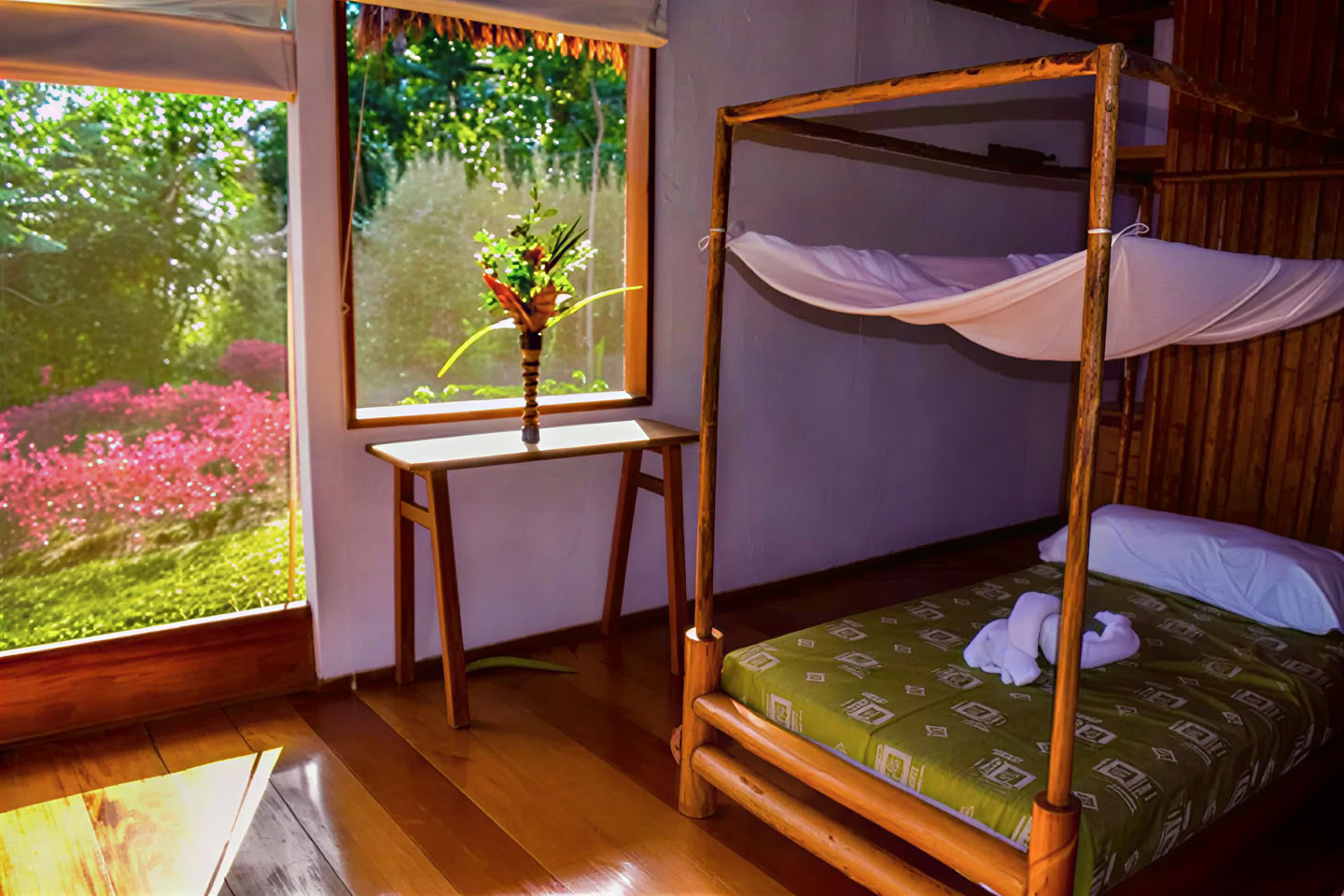 5 días de retiro de ayahuasca y san pedro