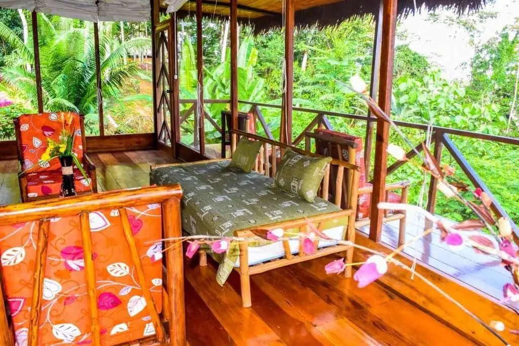 5 días de retiro de ayahuasca y san pedro