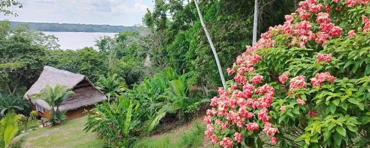 5 días de retiro de ayahuasca y san pedro
