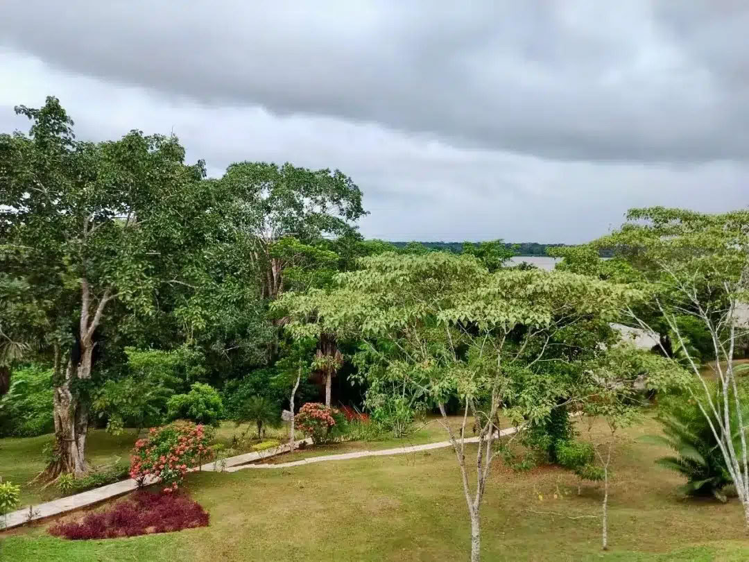Retiro de 8 días de Ayahuasca y San Pedro