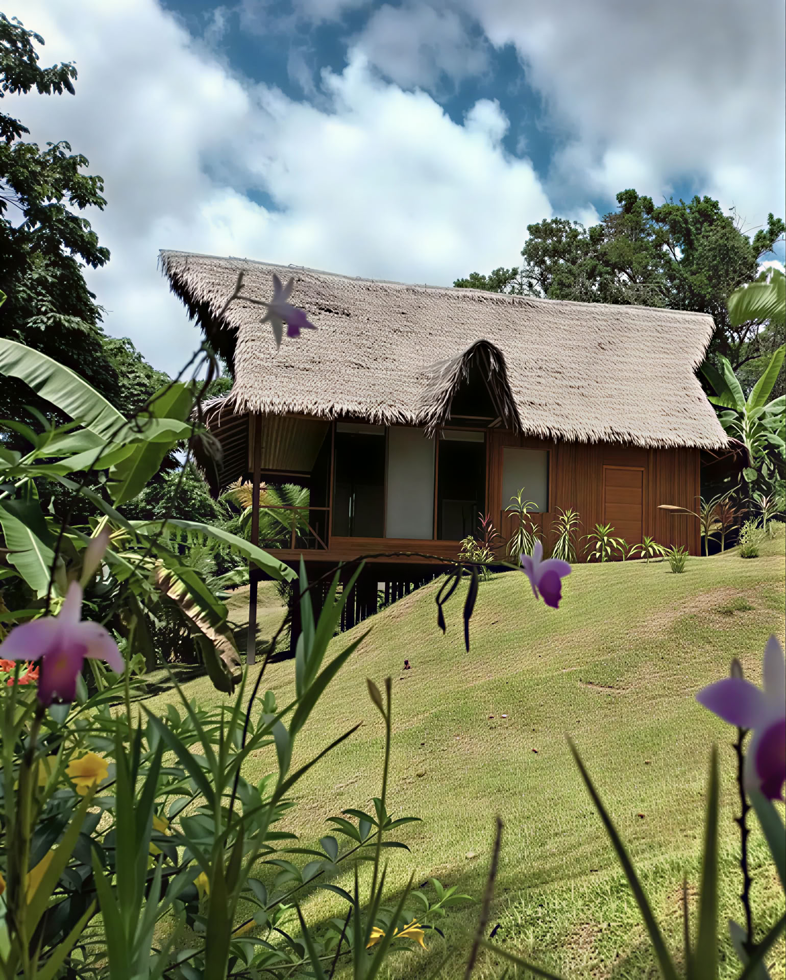 Retiro de Ayahuasca y San Pedro de 8 días – 26 de mayo - 2 de junio