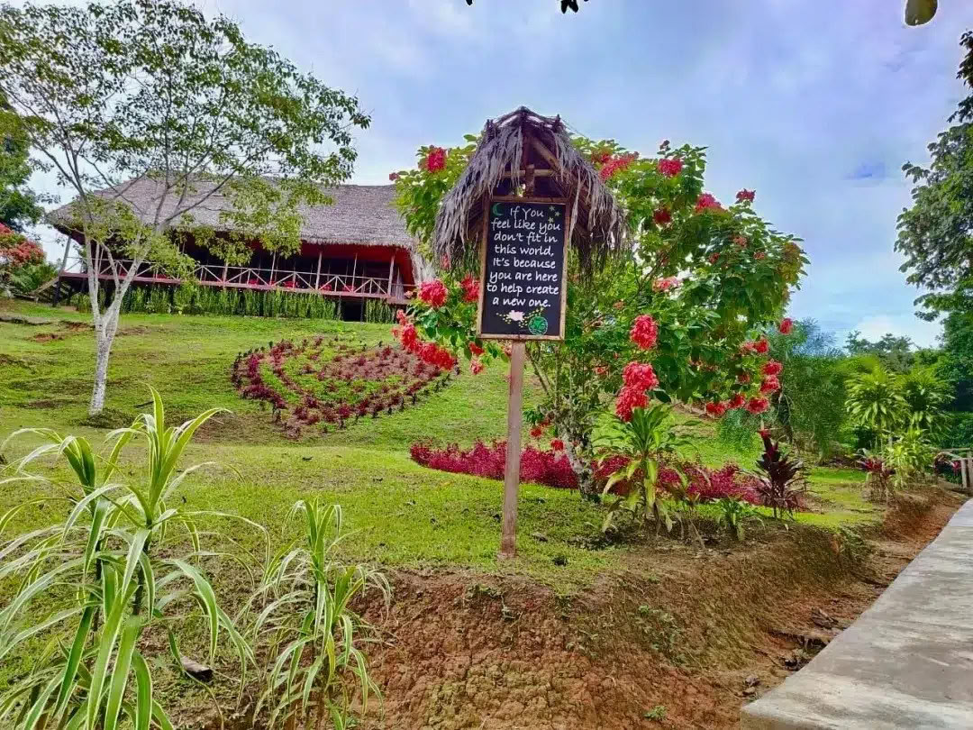 Retiro de Ayahuasca y San Pedro de 8 días – 26 de mayo - 2 de junio