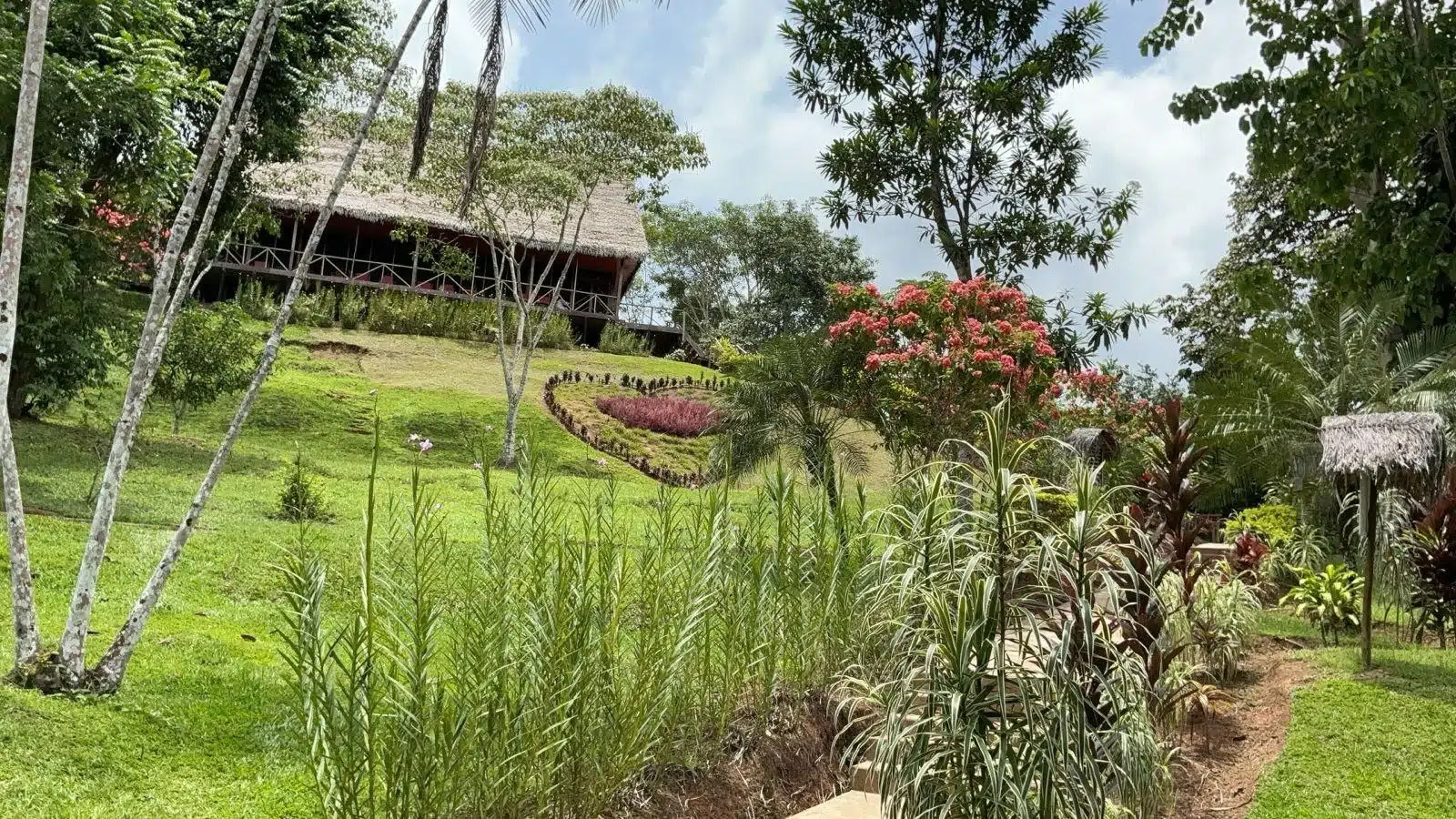 Ceremonia de Ayahuasca