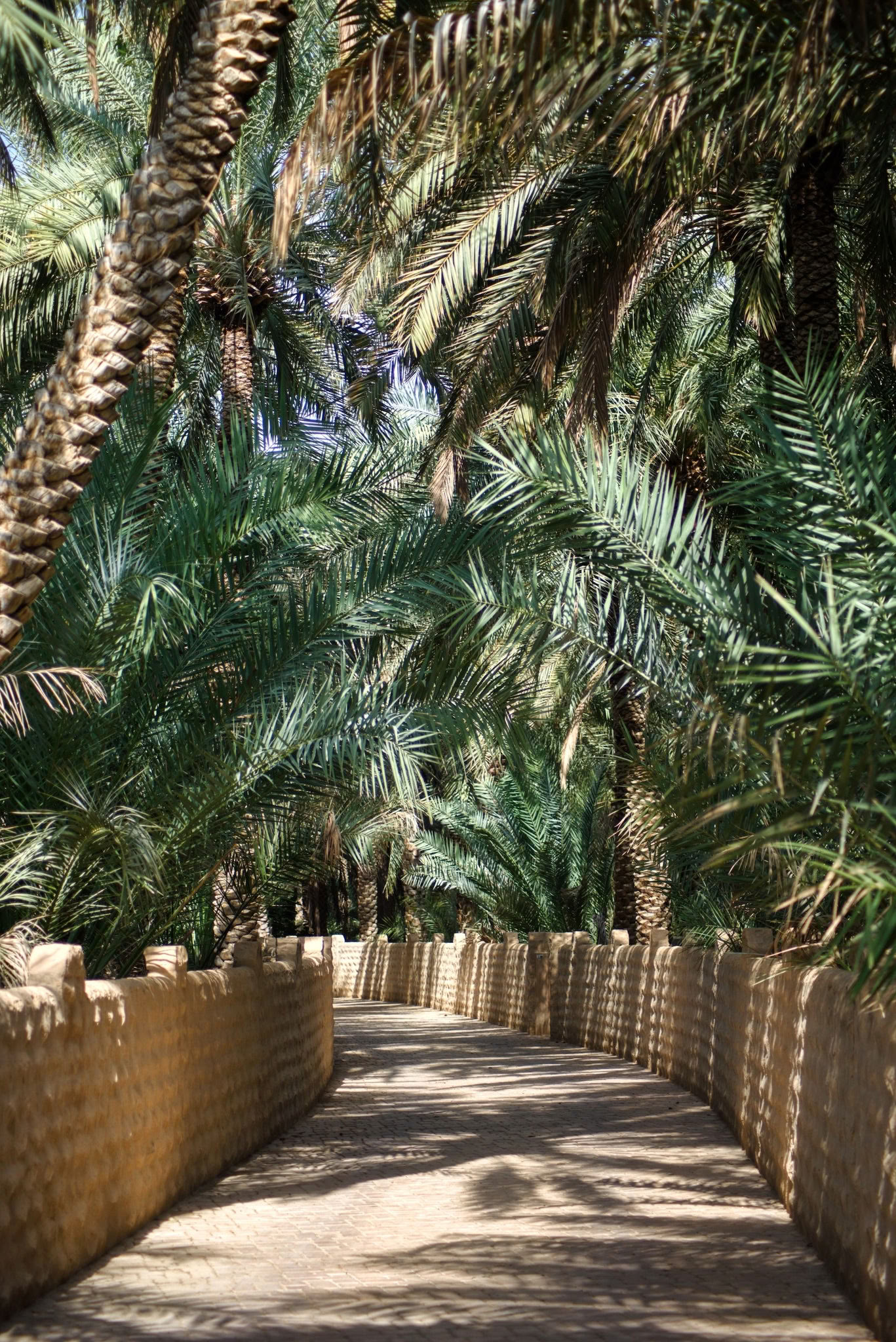 Taller de coronas florales - Palm Springs