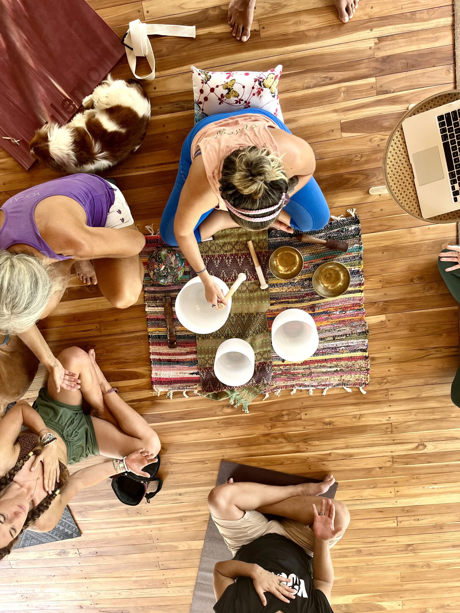 Breathwork Training: Practitioner & Teacher Track – 30 ago. 2026 – 2 sep. 2026