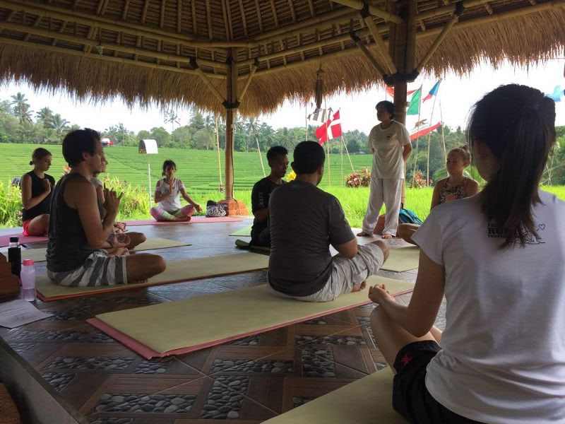 BALIGRASS - Sanación personal con lo antiguo y meditación