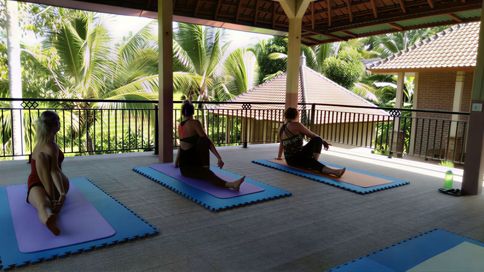BALIGRASS - Sanación personal con lo antiguo y meditación