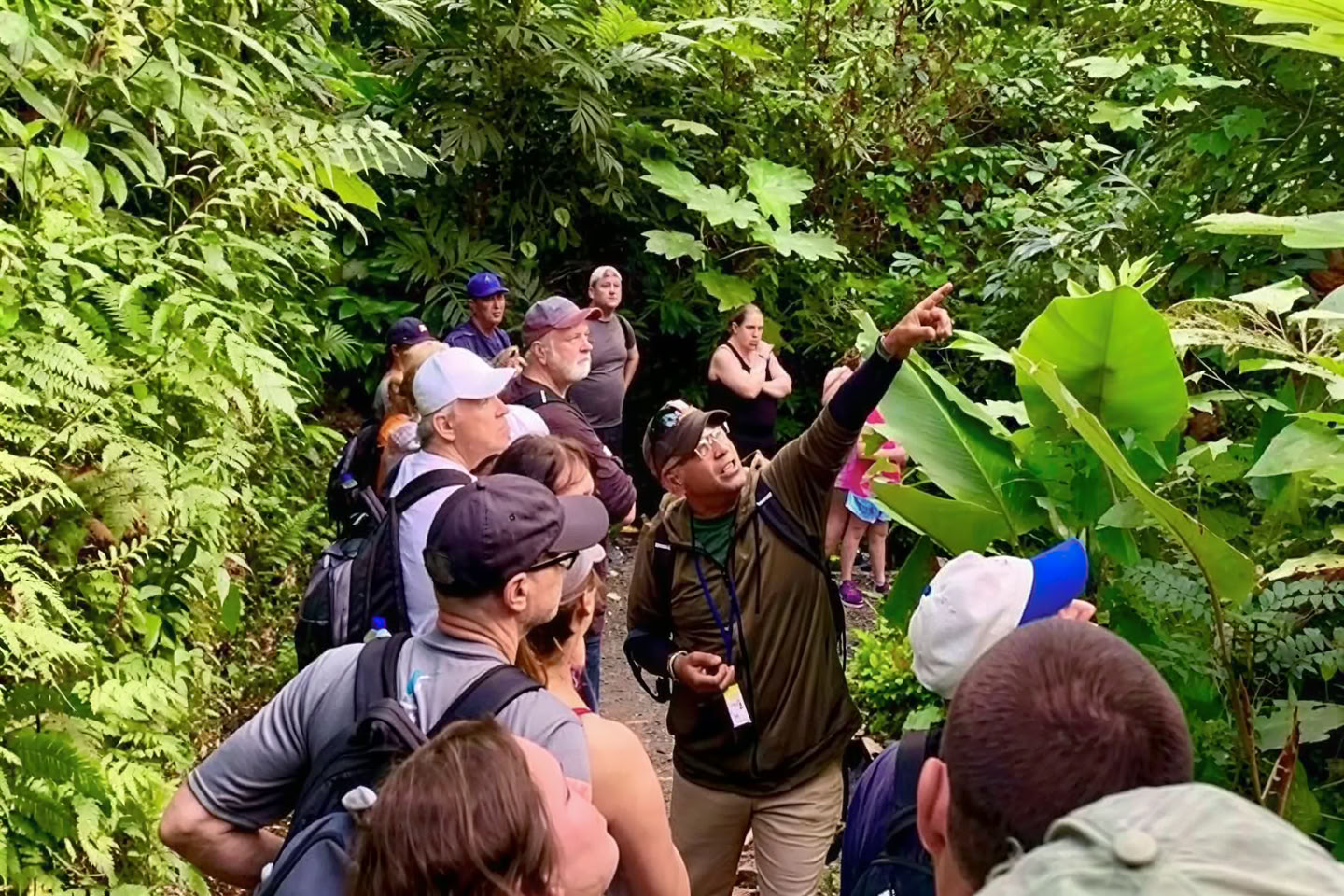 Paseo por la naturaleza en la selva tropical salvaje y escénica hacia la aventura en el río