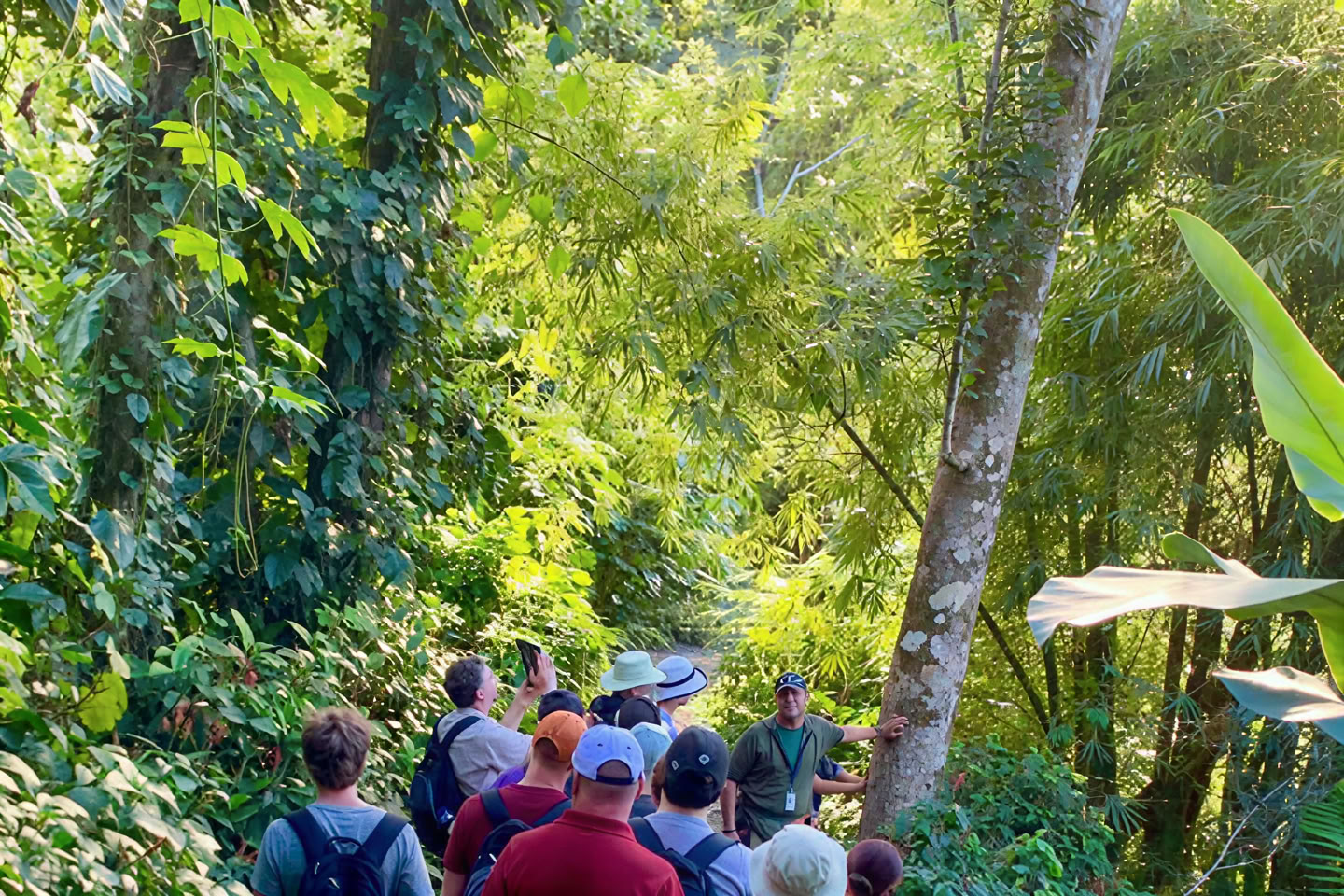 Paseo por la naturaleza en la selva tropical salvaje y escénica hacia la aventura en el río