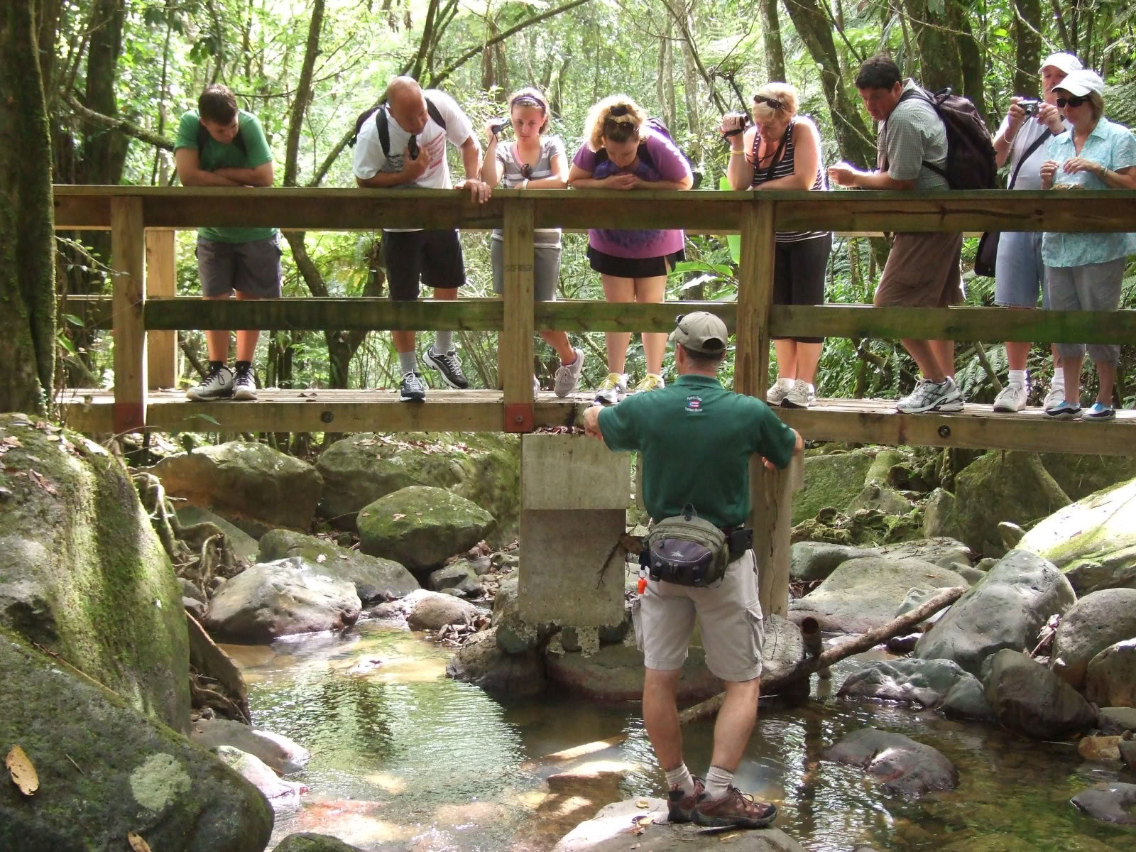 Paseo por la naturaleza en la selva tropical salvaje y escénica hacia la aventura en el río