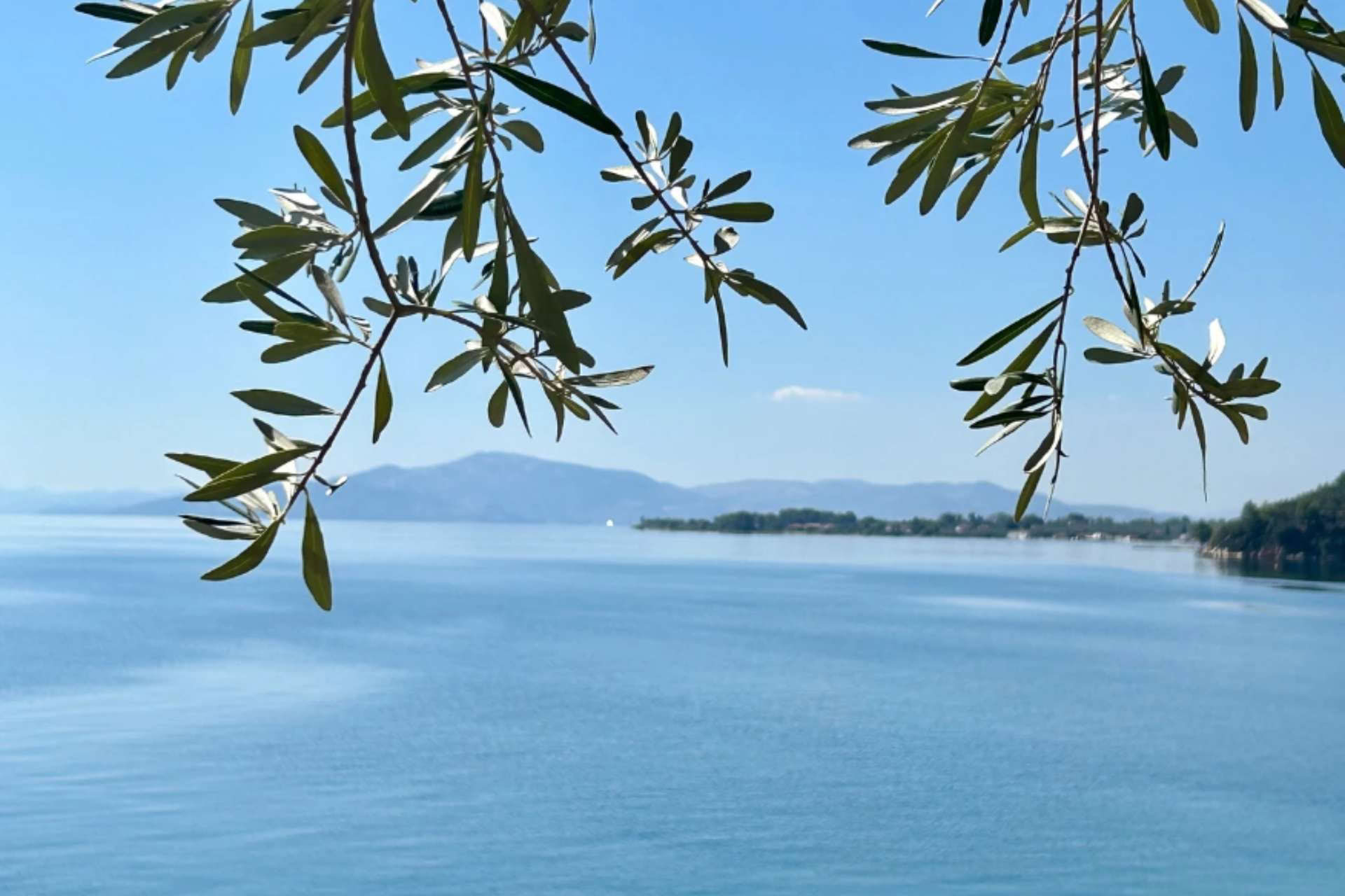 Experience The Elements Retiro Pelion September 2026