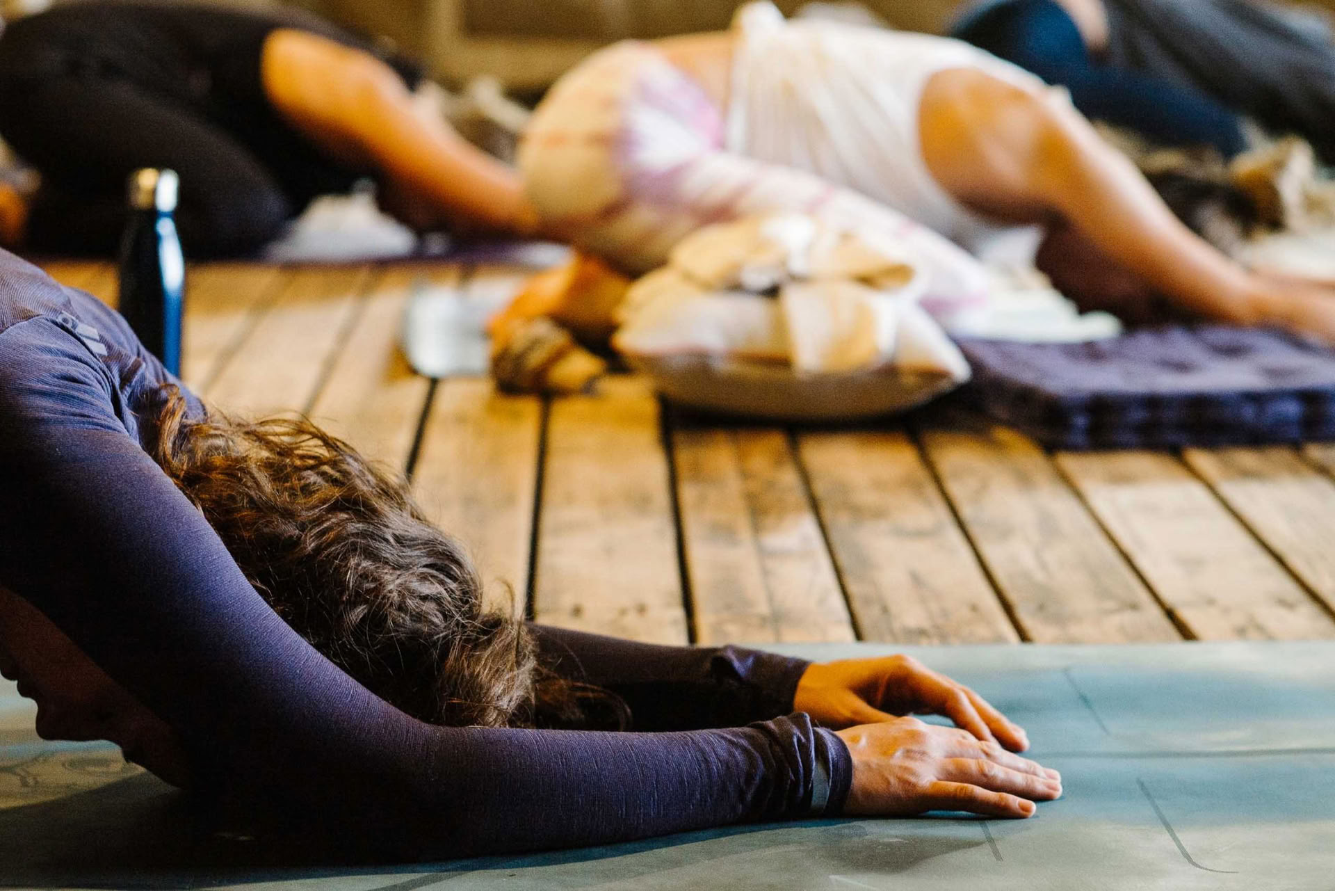 Tata Wellness retiro en Pelion