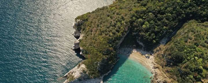 Retiro Rewilding para Mujeres