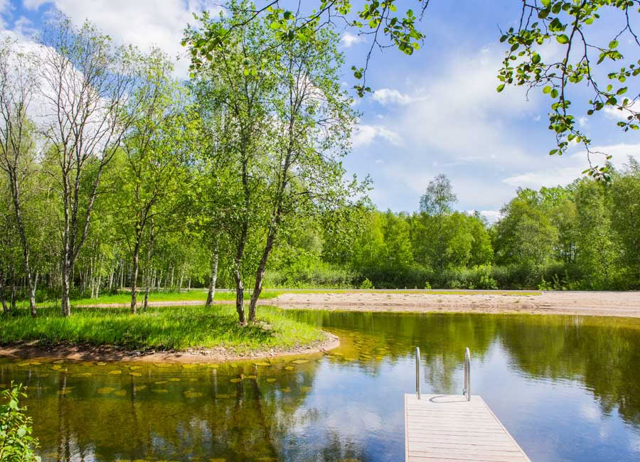 Retiro de Año Nuevo