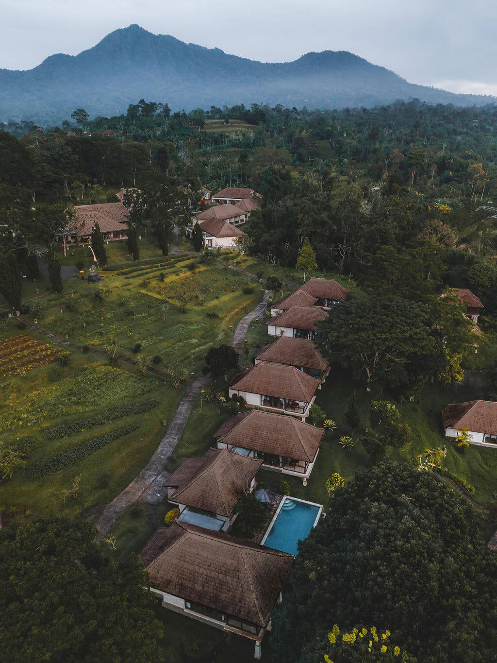 Meditation Teacher Training en Bali, Pelaga