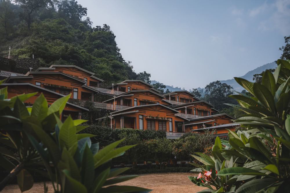 200 horas YTT en Rishikesh – 28 dic. 2026 – 19 ene. 2027