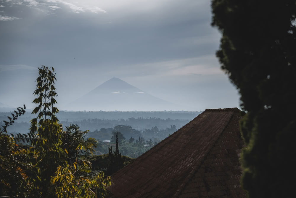 YTT de 200 horas en Bali, Pelaga – 24 de jun. – 11 de jul. de 2026