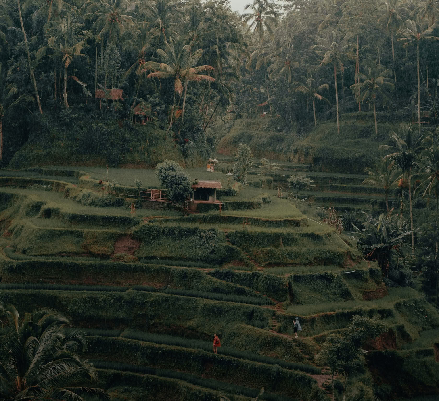 Formación híbrida de profesores de yoga de 200 horas/300 horas – 22 de jun. – 5 de jul. de 2026