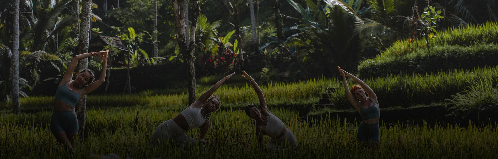 Formación híbrida de profesores de yoga de 200 horas / 300 horas – 26 de nov. – 9 de dic. de 2026