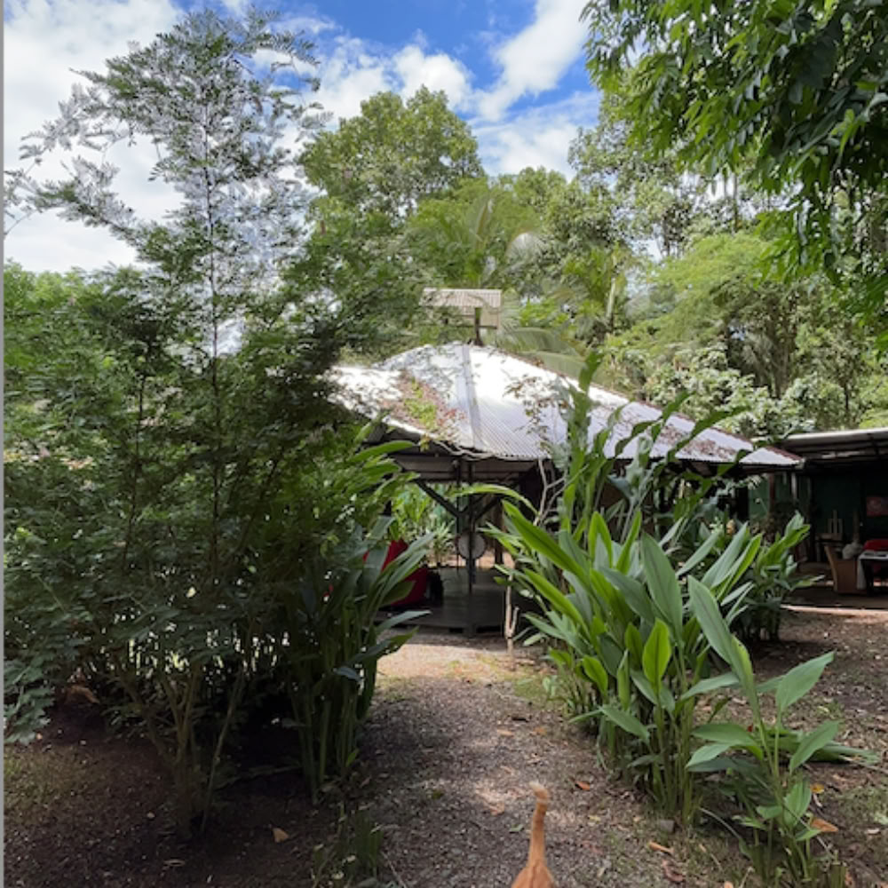 Home Sanctuary Ayahuasca Retiro – 18 - 25 July